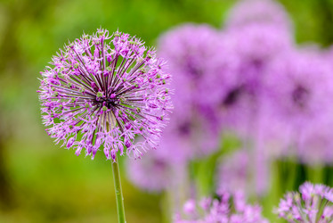 Similar image 13085993