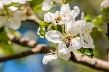 Similar image 13085970