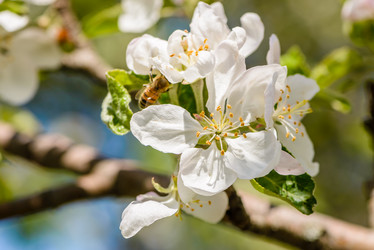 Similar image 13085972