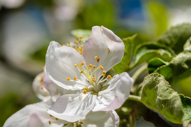 Similar image 13085975