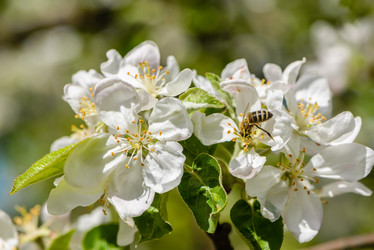 Similar image 13085976