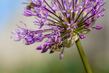 Similar image 13085978