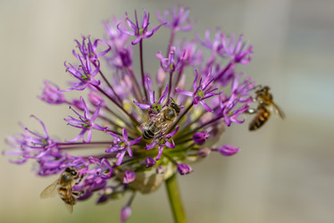 Similar image 13085979