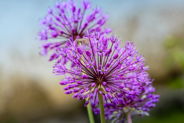 Similar image 13085980