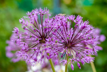 Similar image 13086008