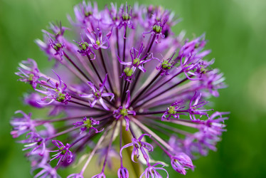 Similar image 13086009