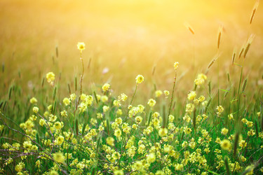 Similar image 13095697