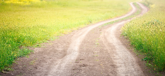 Similar image 13095731