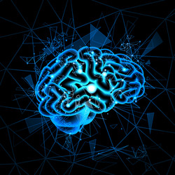 Similar image 13101049