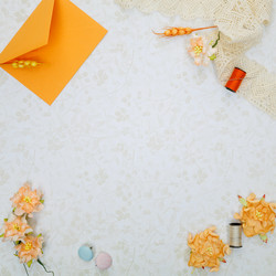 Similar image 13112101