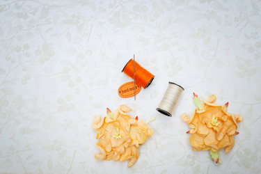 Similar image 13112102