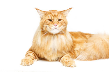 Similar image 13112122