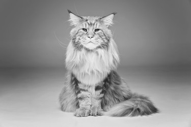 Similar image 13112160