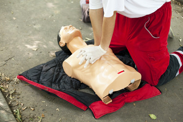 Similar image 13090743