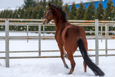 Similar image 13104035