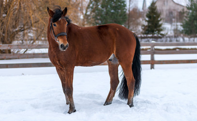 Similar image 13104046