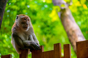 Similar image 13104095