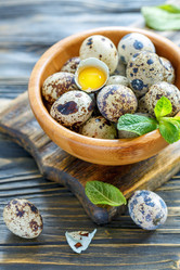 Similar image 13093139