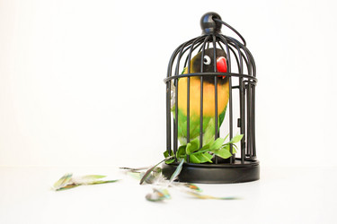 Similar image 13095155