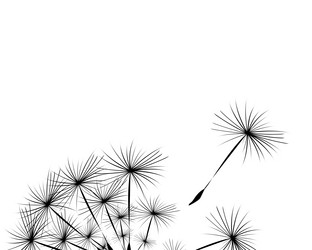 Similar image 13095852