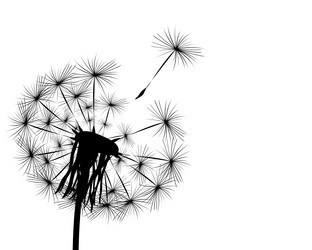 Similar image 13095929