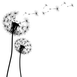 Similar image 13095930