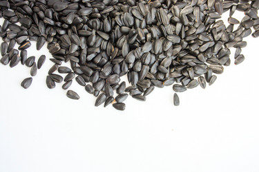 Similar image 13095197