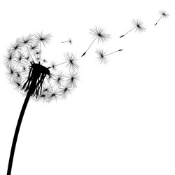 Similar image 13095953