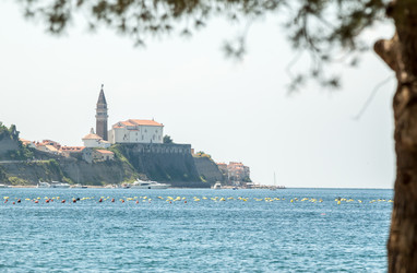 Similar image 13086606