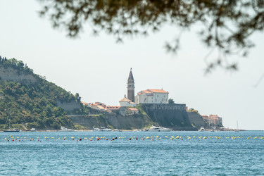 Similar image 13086607