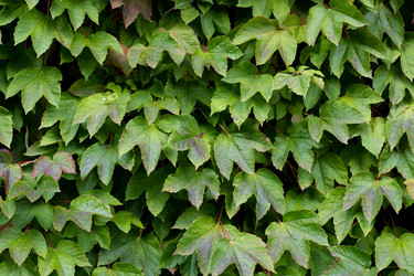 Similar image 13085771