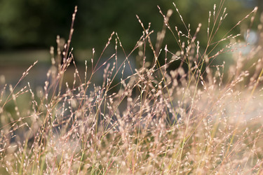 Similar image 13085772