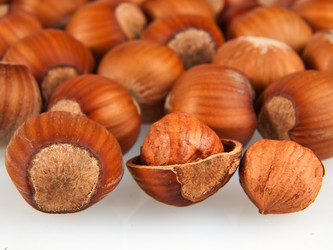 Similar image 13085781