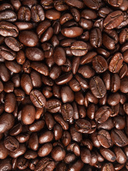 Similar image 13085784