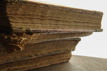 Similar image 13085892