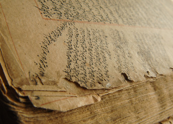 Similar image 13085893