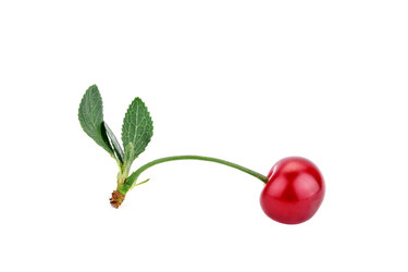 Similar image 13095677