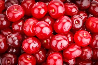 Similar image 13095701