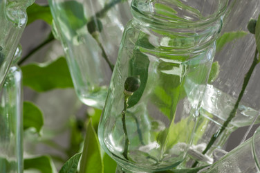 Similar image 13085934