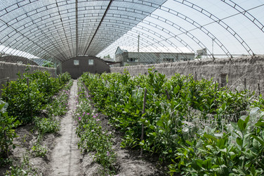 Similar image 13085936