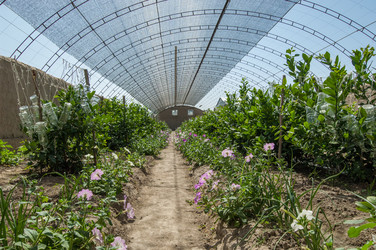 Similar image 13085937