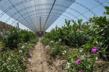 Similar image 13085938