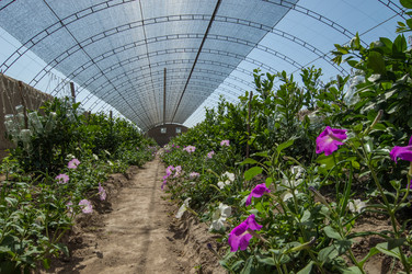 Similar image 13085939