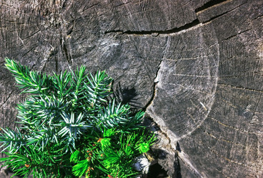 Similar image 13085596