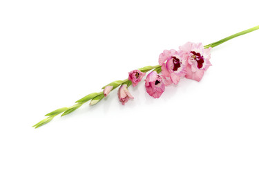 Similar image 13085741