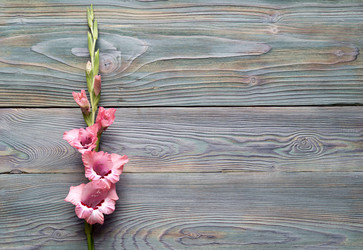 Similar image 13085744