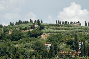 Similar image 13086641