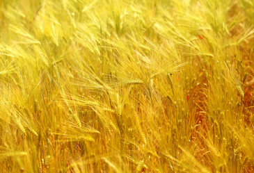 Similar image 13092257