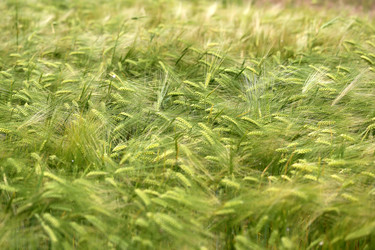 Similar image 13092260