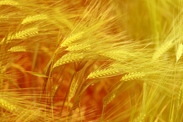 Similar image 13092261